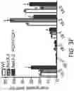 Fig. 13 - Enhanced lipid biosynthesis via engineered plastid lipases