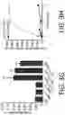Fig. 14 - Enhanced lipid biosynthesis via engineered plastid lipases