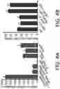 Fig. 16 - Enhanced lipid biosynthesis via engineered plastid lipases
