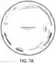 Fig. 23 - Enhanced lipid biosynthesis via engineered plastid lipases