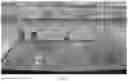 Fig. 04 - Oxyfluorfen resistant rice lines