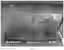 Fig. 05 - Oxyfluorfen resistant rice lines