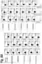 Fig. 12 - T cell receptors that bind to NY-ESO-1 and methods of use thereof
