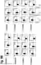 Fig. 13 - T cell receptors that bind to NY-ESO-1 and methods of use thereof