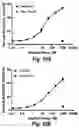 Fig. 18 - T cell receptors that bind to NY-ESO-1 and methods of use thereof