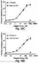 Fig. 19 - T cell receptors that bind to NY-ESO-1 and methods of use thereof