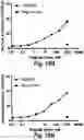 Fig. 21 - T cell receptors that bind to NY-ESO-1 and methods of use thereof