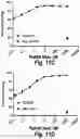 Fig. 23 - T cell receptors that bind to NY-ESO-1 and methods of use thereof