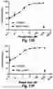 Fig. 24 - T cell receptors that bind to NY-ESO-1 and methods of use thereof