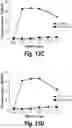 Fig. 31 - T cell receptors that bind to NY-ESO-1 and methods of use thereof