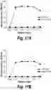 Fig. 42 - T cell receptors that bind to NY-ESO-1 and methods of use thereof