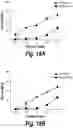 Fig. 45 - T cell receptors that bind to NY-ESO-1 and methods of use thereof