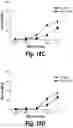 Fig. 46 - T cell receptors that bind to NY-ESO-1 and methods of use thereof