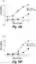 Fig. 47 - T cell receptors that bind to NY-ESO-1 and methods of use thereof