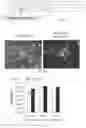 Fig. 09 - VIRAL VECTORS FOR NUCLEAR REPROGRAMMING