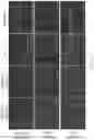 Fig. 14 - VIRAL VECTORS FOR NUCLEAR REPROGRAMMING