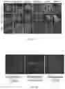 Fig. 16 - VIRAL VECTORS FOR NUCLEAR REPROGRAMMING