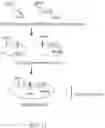 Fig. 19 - VIRAL VECTORS FOR NUCLEAR REPROGRAMMING