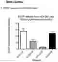 Fig. 13 - Genetic construct