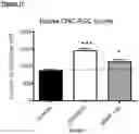 Fig. 18 - Genetic construct