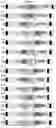 Fig. 02 - Catecholamine enzyme fusions