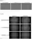 Fig. 08 - Methods and products for expressing proteins in cells