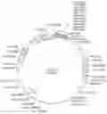 Fig. 01 - Enzymes and applications thereof