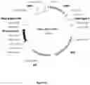 Fig. 04 - CELL EXPRESSION SYSTEM