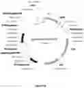 Fig. 06 - CELL EXPRESSION SYSTEM