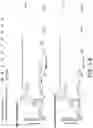 Fig. 10 - METHOD FOR SYNTHESIZING PEPTIDES IN CELL-FREE TRANSLATION SYSTEM