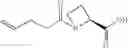 Fig. 60 - METHOD FOR SYNTHESIZING PEPTIDES IN CELL-FREE TRANSLATION SYSTEM