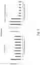 Fig. 05 - Assays and reagents for antimicrobial susceptibility testing