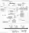Fig. 01 - Dilution tagging for quantification of biological targets