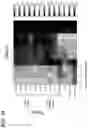 Fig. 26 - Simultaneous quantification of gene expression in a user-defined region of a cross-sectioned tissue