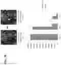 Fig. 34 - Simultaneous quantification of gene expression in a user-defined region of a cross-sectioned tissue