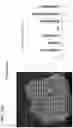 Fig. 41 - Simultaneous quantification of gene expression in a user-defined region of a cross-sectioned tissue