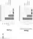 Fig. 59 - Simultaneous quantification of gene expression in a user-defined region of a cross-sectioned tissue