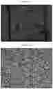 Fig. 02 - Kinetic exclusion amplification of nucleic acid libraries