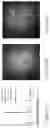 Fig. 11 - Kinetic exclusion amplification of nucleic acid libraries
