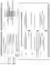 Fig. 02 - Compositions and methods for molecular barcoding of DNA molecules prior to mutation enrichment and/or mutation detection