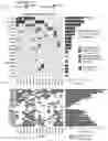 Fig. 10 - Compositions and methods for molecular barcoding of DNA molecules prior to mutation enrichment and/or mutation detection