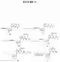Fig. 26 - Methods and compositions for incorporating nucleotides