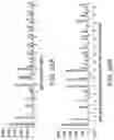 Fig. 40 - Methods and compositions for incorporating nucleotides