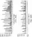 Fig. 41 - Methods and compositions for incorporating nucleotides