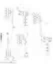 Fig. 47 - Methods and compositions for incorporating nucleotides
