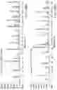 Fig. 57 - Methods and compositions for incorporating nucleotides