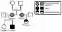 Fig. 01 - Methods and kits for evaluating zinc levels in milk