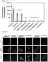 Fig. 05 - Methods and kits for evaluating zinc levels in milk