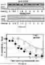 Fig. 07 - Methods and kits for evaluating zinc levels in milk