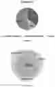 Fig. 10 - Methods and kits for evaluating zinc levels in milk